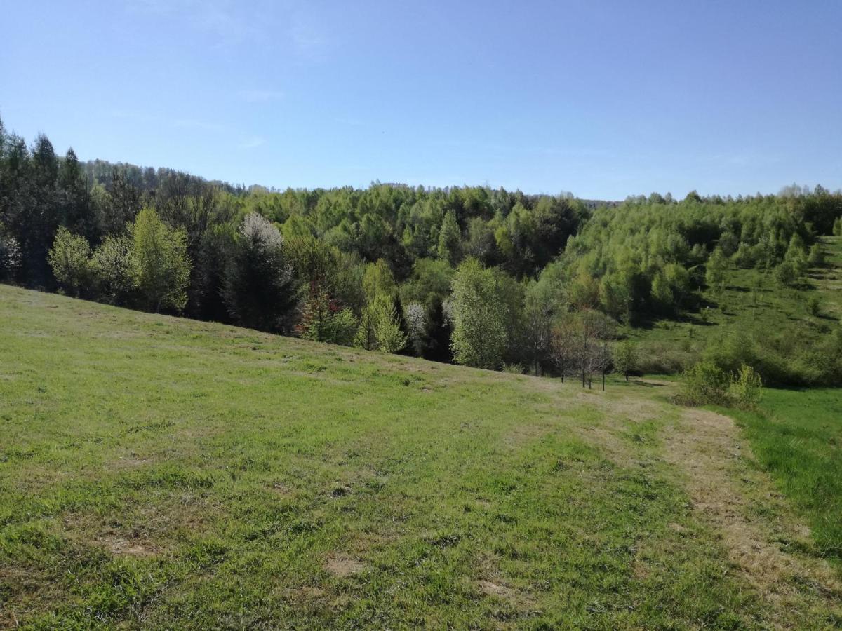 Domek Z Widokiem Sanok Exteriör bild